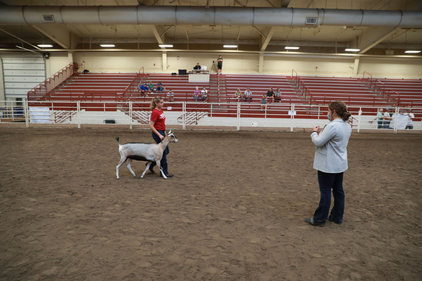 072320_HCFGoatShow026_bjs.JPG